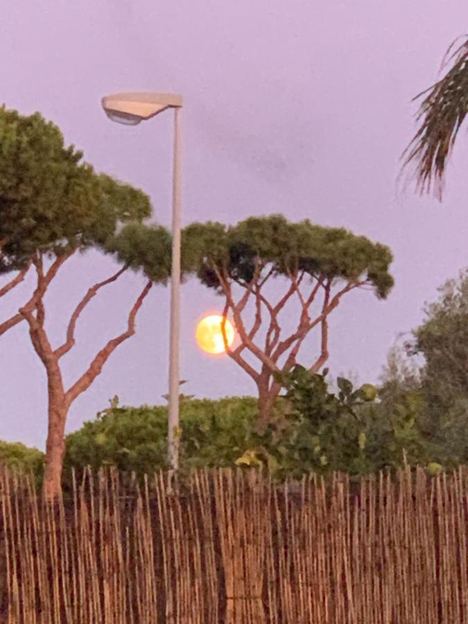 Chiclana Casa Maria Villa Chiclana de la Frontera Eksteriør bilde